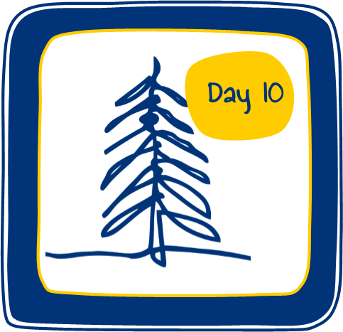 3rd January - Day 10